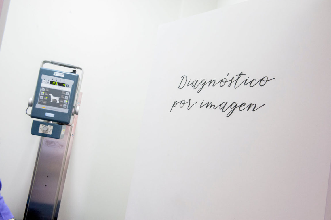 clinica-veterinaria-soria-urgencias-mascotas-radiodiagnostico6.jpg