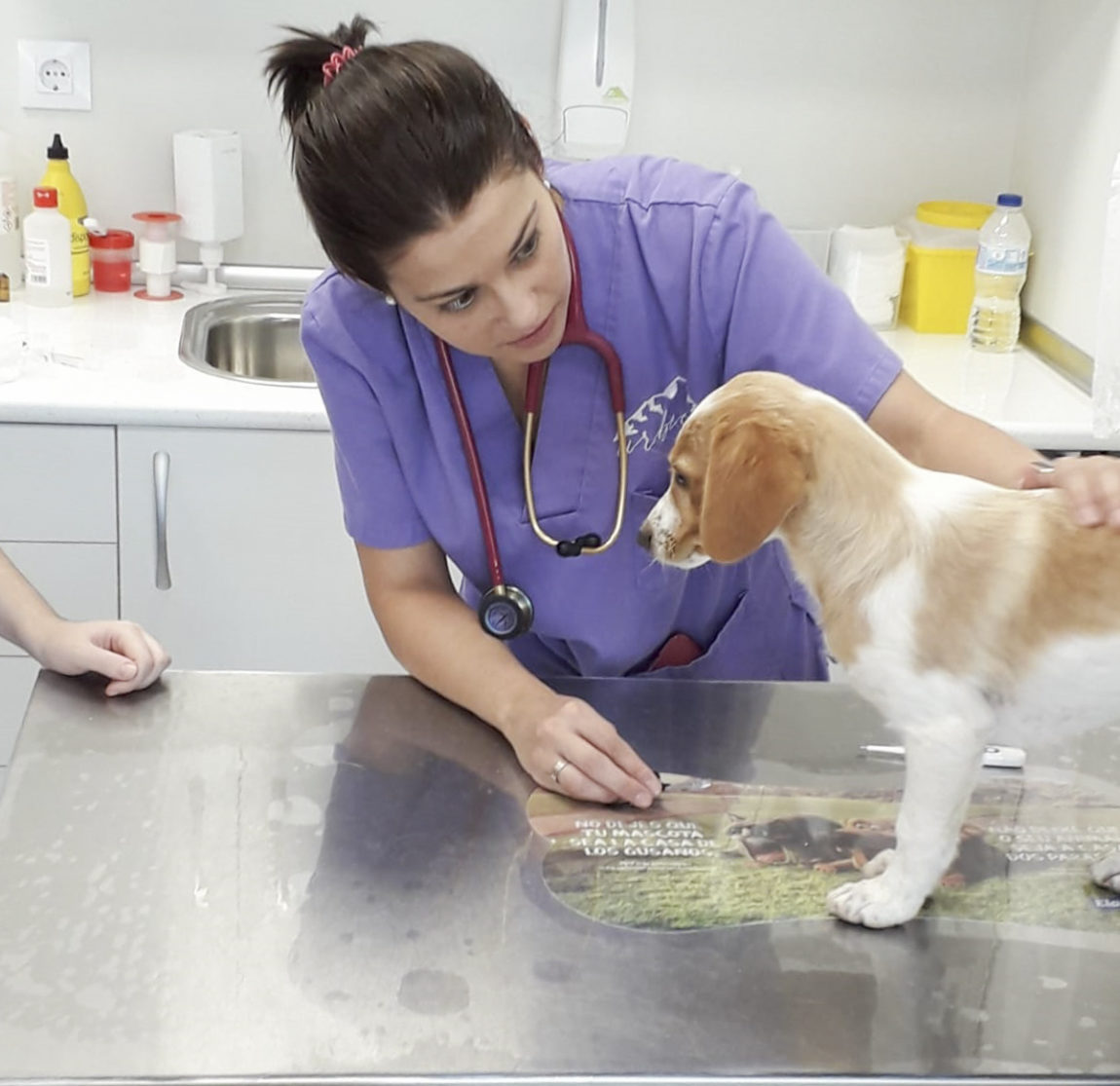 revision-cahorros-veterinario-soria.jpg