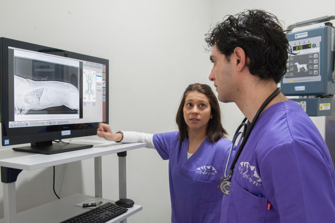 clinica-veterinaria-soria-urgencias-mascotas-radiodiagnostico7.jpg