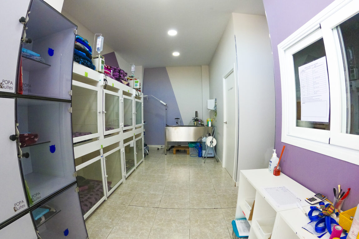 instalaciones-hospitalizacion-veterinarios-urbion-soria.jpg