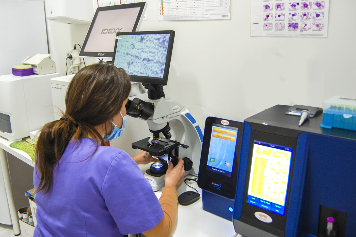 instalaciones-laboratorio-veterinarios-urbion-soria.jpg