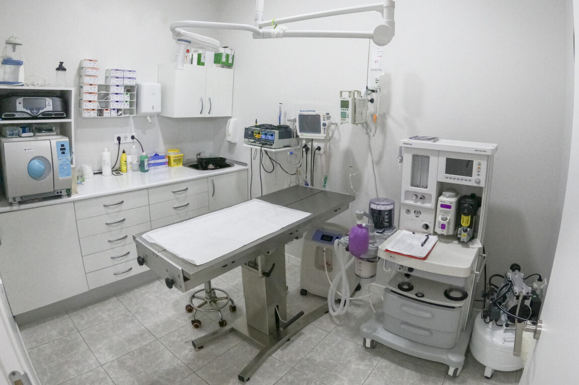 instalaciones-quirofano-veterinarios-urbion-soria.jpg
